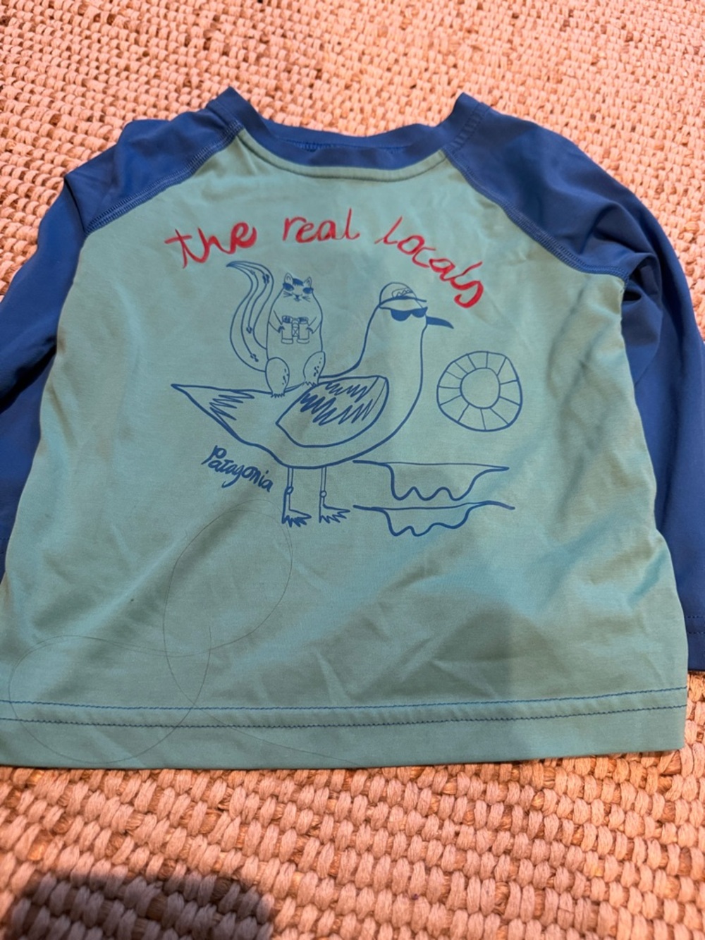 Patagonia 2T Toddler Teal & Blue Long-Sleeve Sun Shirt - The Real Locals